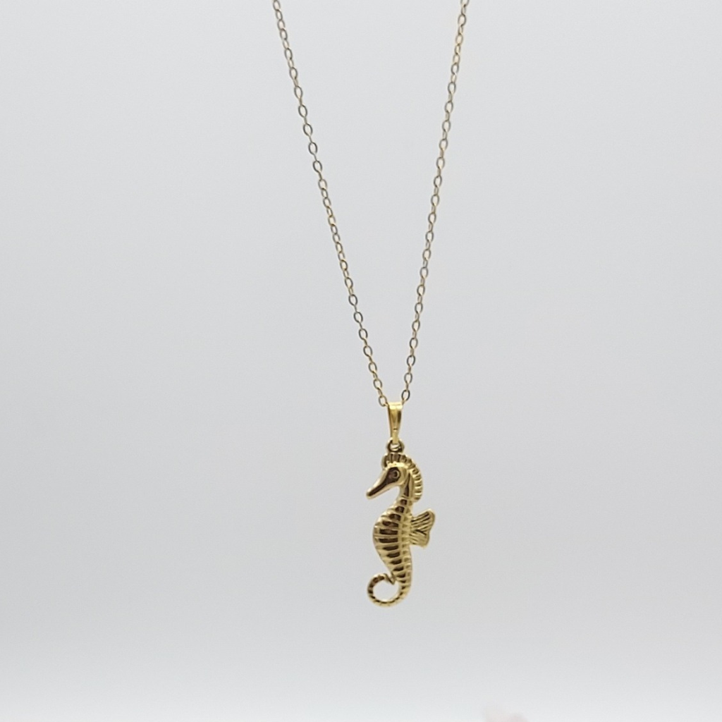 Collier pendentif hippocampe en acier inoxydable 316, Store-mj